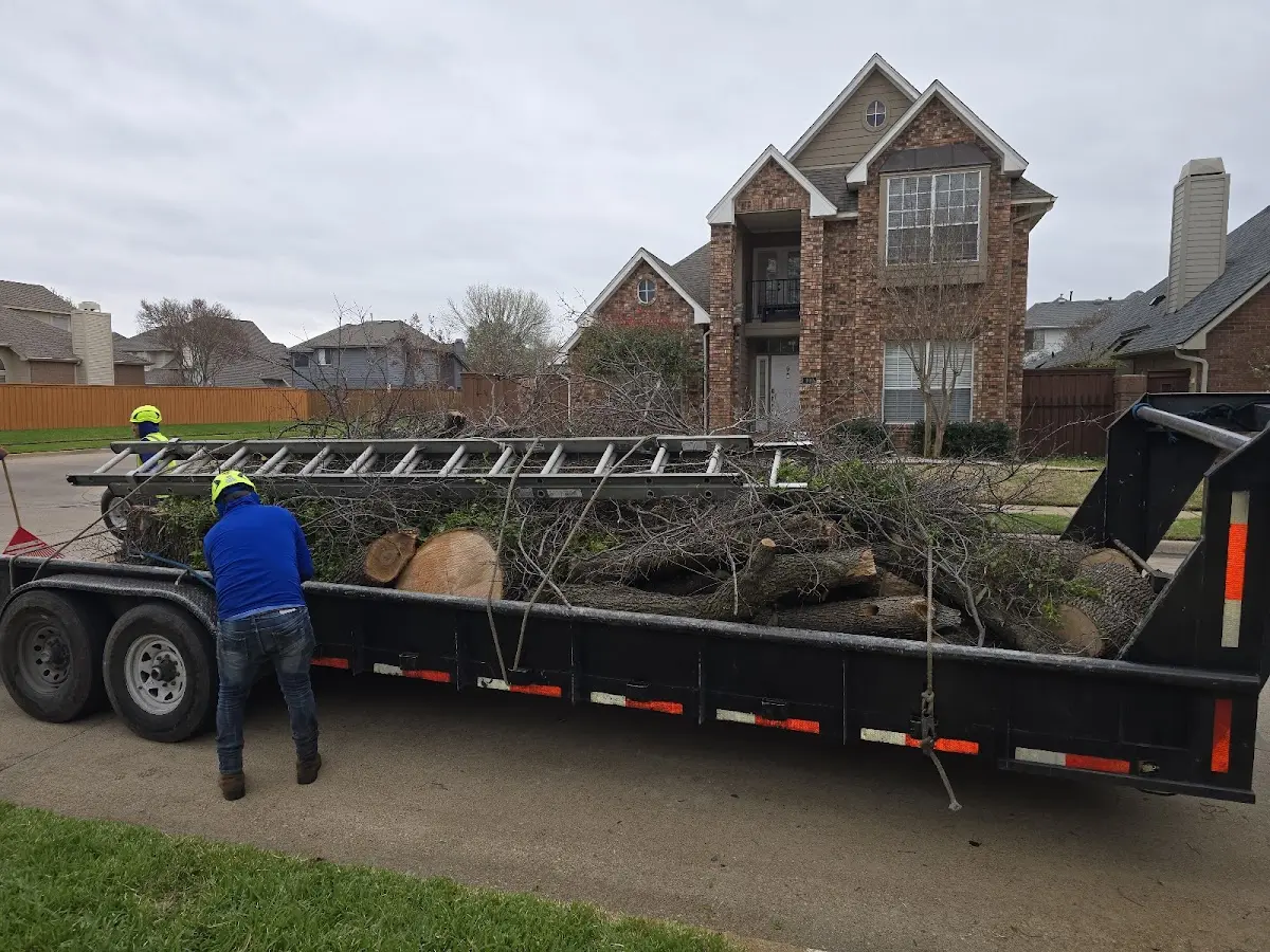 Expert Deadwooding with proper safety equipment in Downers Grove